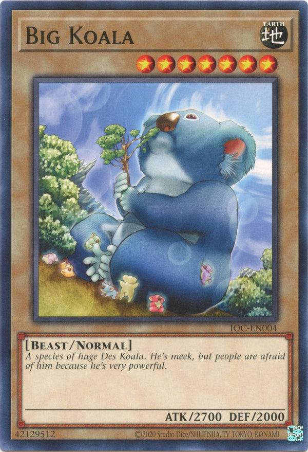 Big Koala [IOC-EN - IOC-EN004]