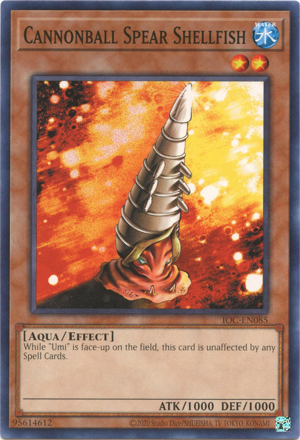 Cannonball Spear Shellfish [IOC-EN - IOC-EN085]