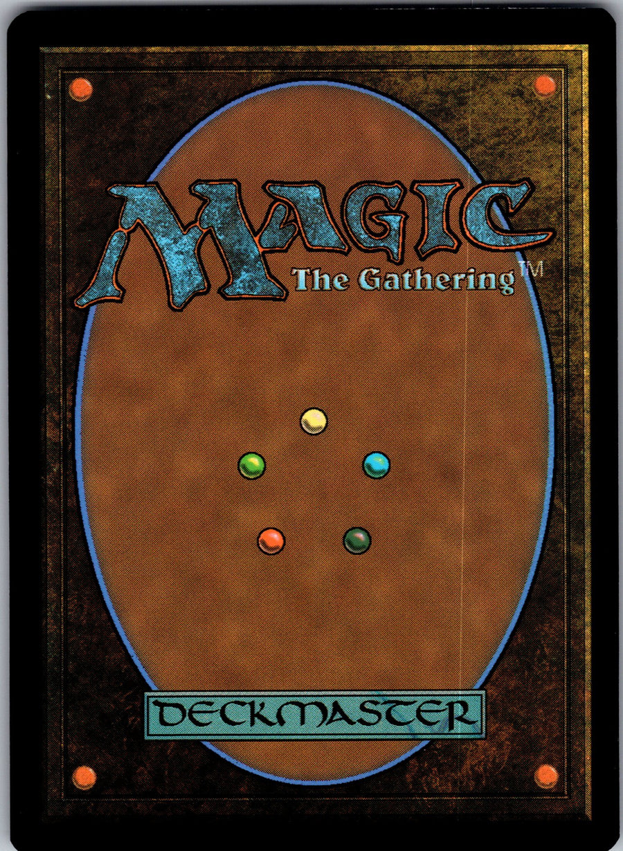 Erudite Wizard (Back) | Near Mint / English / Normal
